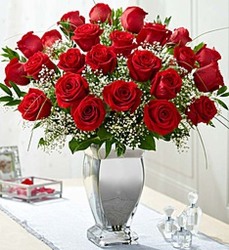 Premium long stem red roses-Blm17-6 from Krupp Florist, your local Belleville flower shop