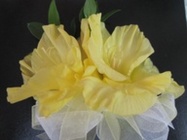 /images/Corsage_2lg.jpg Gladiola Corsage