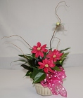 /images/Dishgarden_4-13lg.jpg small ceramic dishgarden