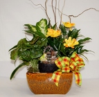 /images/Dishgarden_8-13lg.jpg ceramic dishgarden with fountain