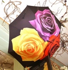 /images/Wally_bags_4-13_774x800lg.jpg umbrella