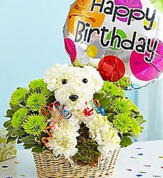 Happy birthday puppy adorpup16-3 from Krupp Florist, your local Belleville flower shop