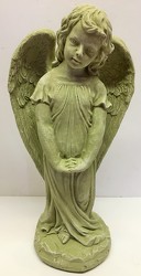 Angel girl-angel-1803 from Krupp Florist, your local Belleville flower shop