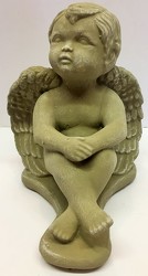 Angel boy-angel-1805 from Krupp Florist, your local Belleville flower shop