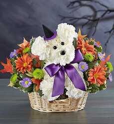 Witchy Pooch blm-174293 from Krupp Florist, your local Belleville flower shop