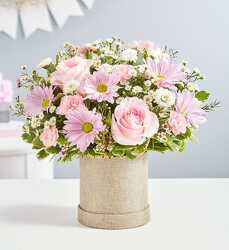 Welcome Baby Girl Bouquet blm-183647 from Krupp Florist, your local Belleville flower shop