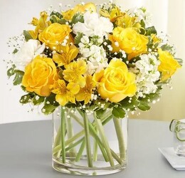 Yellow & White Delight Bouquet blm-191171 from Krupp Florist, your local Belleville flower shop