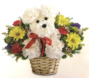 Bloomnet a-DOG-able in a basket from Krupp Florist, your local Belleville flower shop