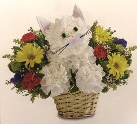 Fabulous feline blm-174312 from Krupp Florist, your local Belleville flower shop