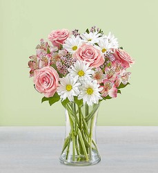  Special beauty-blm148120 from Krupp Florist, your local Belleville flower shop