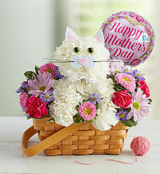 Fabulous Feline for Mom-blm148517 from Krupp Florist, your local Belleville flower shop