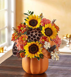 Pumpkin' and Posies-blm159208 from Krupp Florist, your local Belleville flower shop