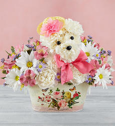 Precious Pup-blm163056 from Krupp Florist, your local Belleville flower shop