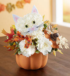 Fabulous Feline for Fall-blm167669 from Krupp Florist, your local Belleville flower shop