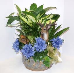 Dishgarden planter w/deer-XXL dish15-9 from Krupp Florist, your local Belleville flower shop