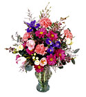 /images/ftd04white/C22-3433lg.jpg Sweetness & Light