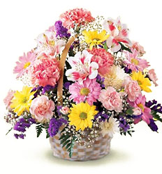 Basket of Cheer from Krupp Florist, your local Belleville flower shop