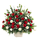 /images/ftd04white/S24-3809lg.jpg FTD Devotion Arrangement