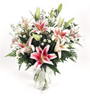 /images/media99/m02-008lg.jpg Stargazer Delight
