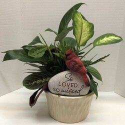 Dishgarden with cardinal plant-card2022-1 from Krupp Florist, your local Belleville flower shop