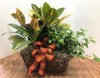 Double basket from Krupp Florist, your local Belleville flower shop