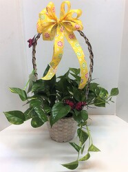 Pothos in a basket from Krupp Florist, your local Belleville flower shop