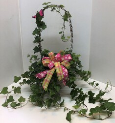 Ivy in a basket from Krupp Florist, your local Belleville flower shop
