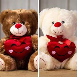14.5" smiling bear with red heart plush-heartbear from Krupp Florist, your local Belleville flower shop