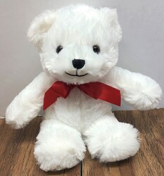 Small white bear plush-smwhbr from Krupp Florist, your local Belleville flower shop