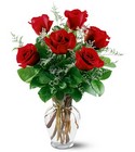 /images/telwhite03/6REDROSElg.jpg 6 Red Roses