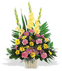 Warm Thoughts Arrangement from Krupp Florist, your local Belleville flower shop
