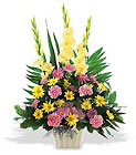 /images/telwhite03/tf184-3lg.jpg Warm Thoughts Arrangement