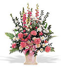 /images/telwhite03/tf185-2lg.jpg Sweet Sentiments