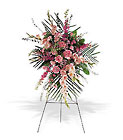 /images/telwhite03/tf198-1lg.jpg Pink Promise Spray