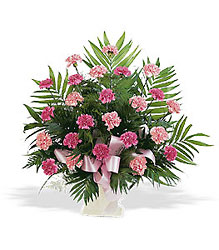 Pink Carnations Sympathy Arrangement from Krupp Florist, your local Belleville flower shop
