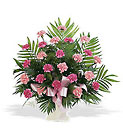 /images/telwhite03/tf198-3lg.jpg Basket with Pink Carnations