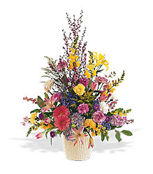 Spring Hope Arrangement from Krupp Florist, your local Belleville flower shop