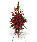 /images/telwhite03/tf206-2lg.jpg Red Regards Spray