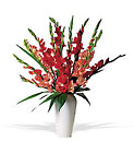 /images/telwhite03/tf21-1lg.jpg Glorious Gladioli!