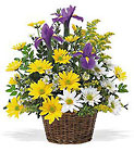 /images/telwhite03/tf58-1lg.jpg Smiling Spring Basket