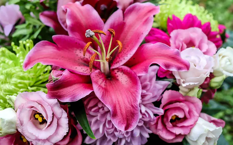 Birthday Flowers delivered in Belleville