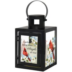 "Cardinals Appear" Lantern from Krupp Florist, your local Belleville flower shop