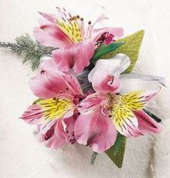 Alstromeria Wrist Corsage from Krupp Florist, your local Belleville flower shop