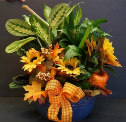 Decorated Dishgarden planter-XXL dish14-16 from Krupp Florist, your local Belleville flower shop