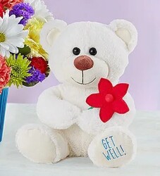 Get Well bear from Krupp Florist, your local Belleville flower shop