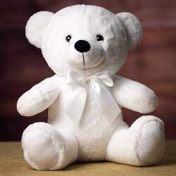14" Winter White Colorama XL Bear from Krupp Florist, your local Belleville flower shop