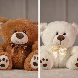 8" Small and Friendly Bear Pair from Krupp Florist, your local Belleville flower shop