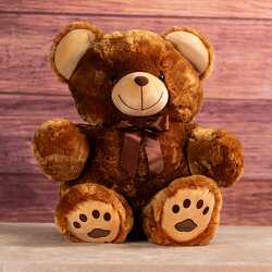 28" Large & Huggable Big Bear from Krupp Florist, your local Belleville flower shop