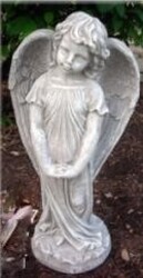 Bashful angel angel-an7 from Krupp Florist, your local Belleville flower shop