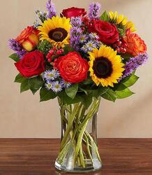 Country Medley blm-147200 from Krupp Florist, your local Belleville flower shop